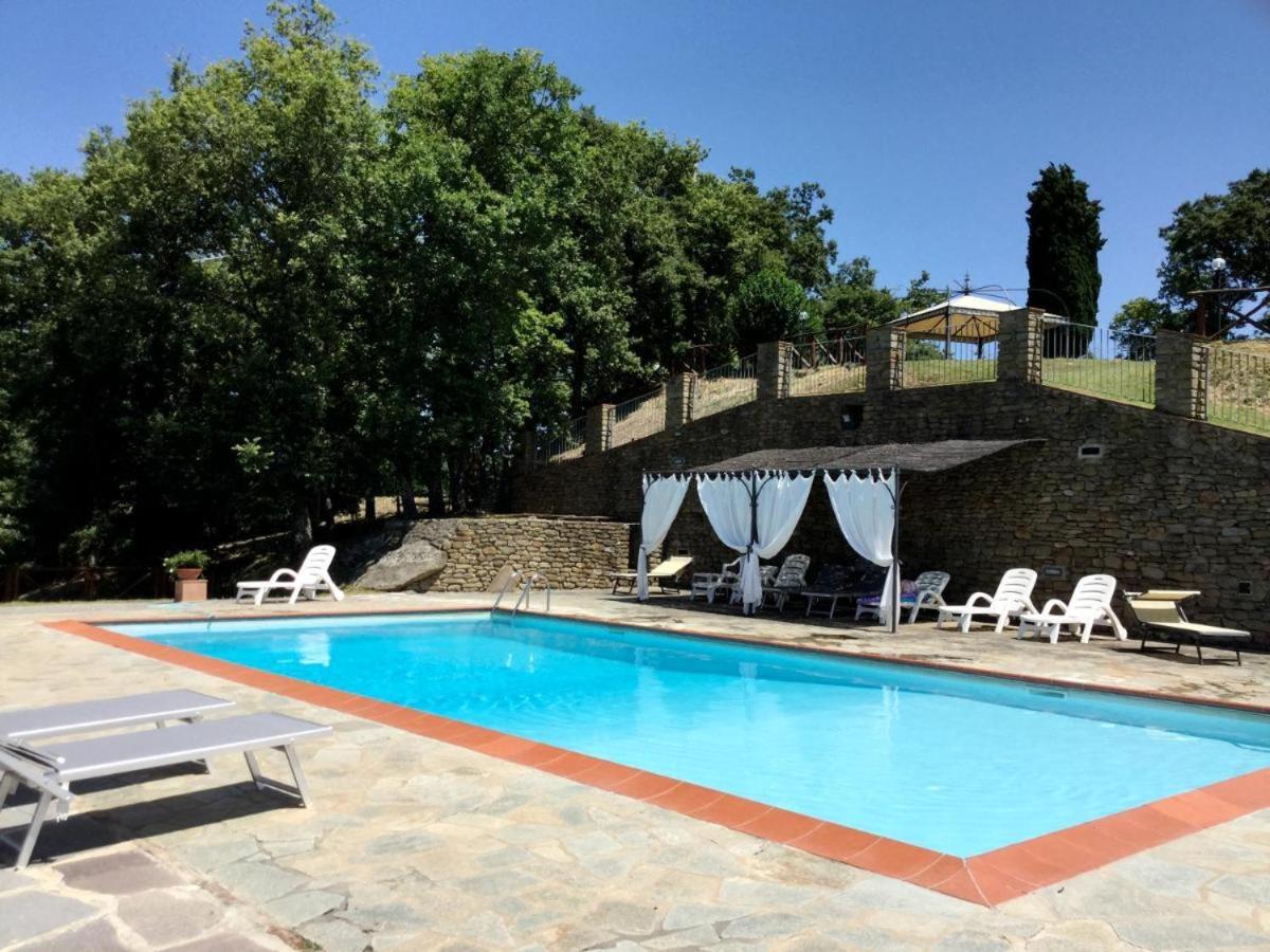 Agriturismo Badia Ficarolo Palazzo del Pero Εξωτερικό φωτογραφία