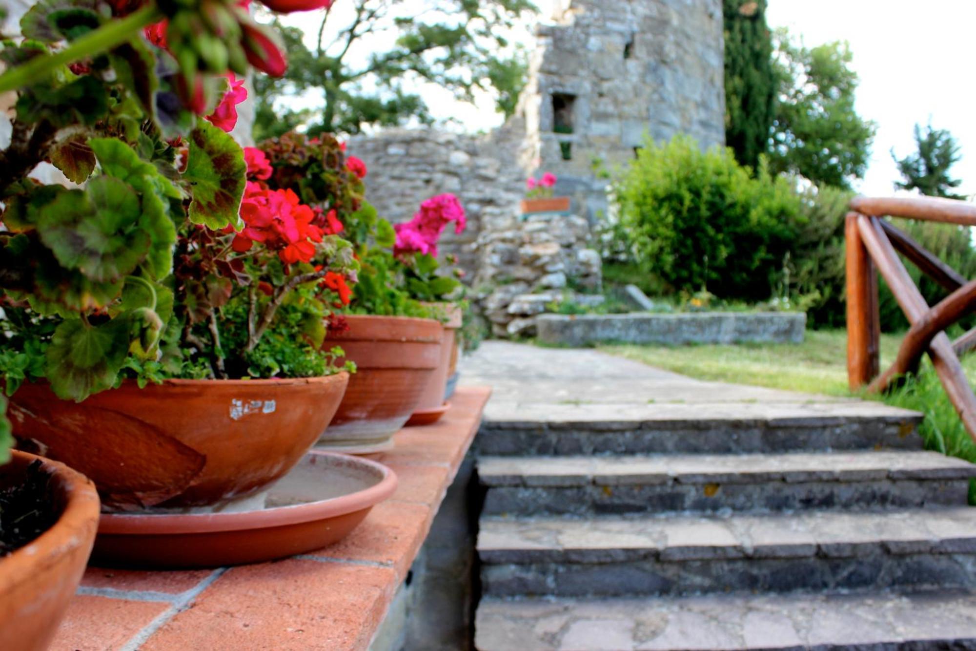 Agriturismo Badia Ficarolo Palazzo del Pero Εξωτερικό φωτογραφία